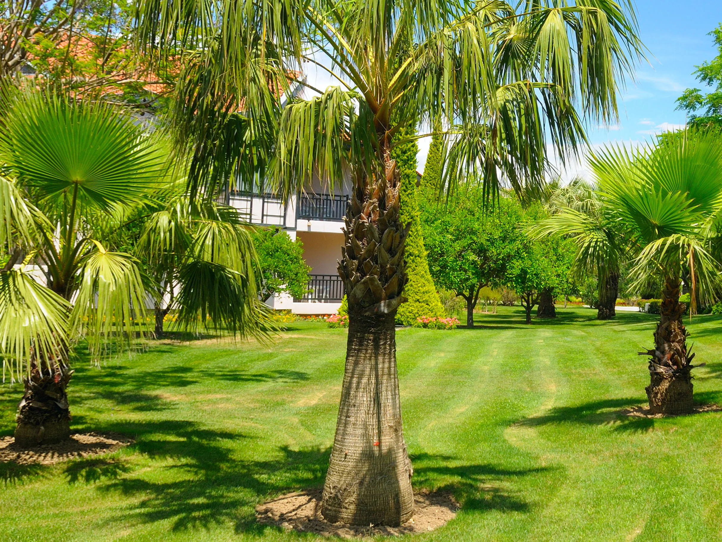 Coastal Lawn Care property results